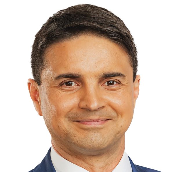 Henrique Zanotto